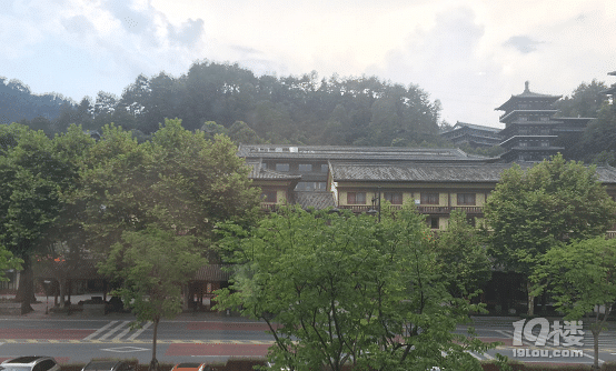 寻根开化：发现久违的树根之魂