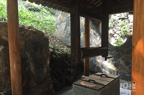 寻根开化：发现久违的树根之魂