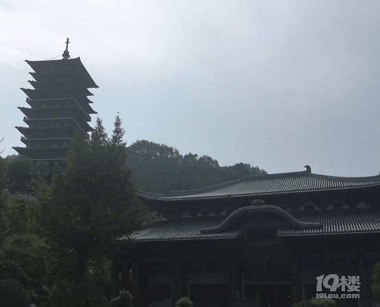 寻根开化：发现久违的树根之魂