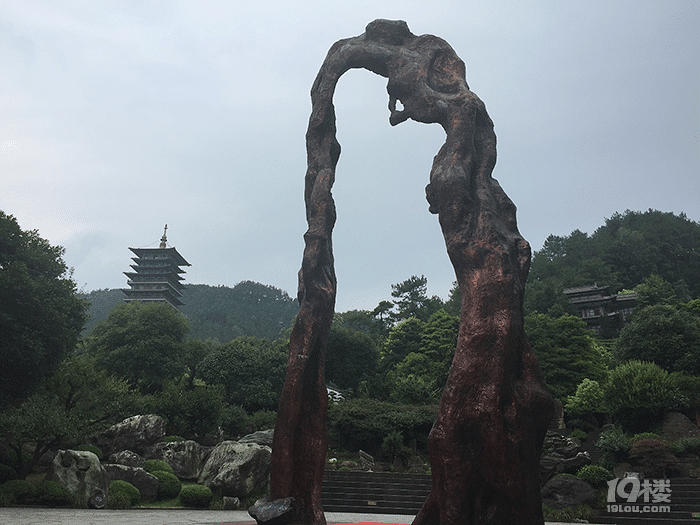 寻根开化：发现久违的树根之魂