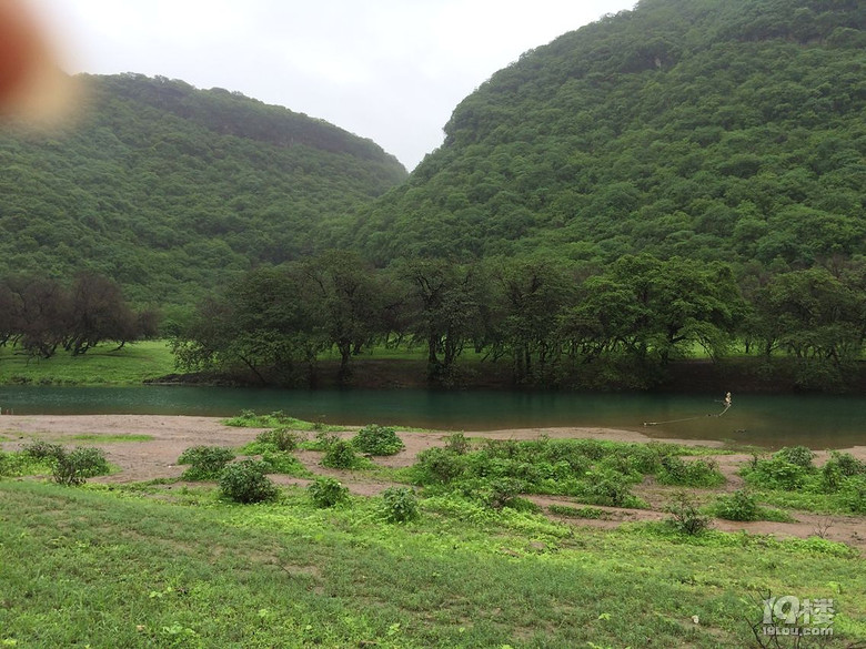 阿曼自由行