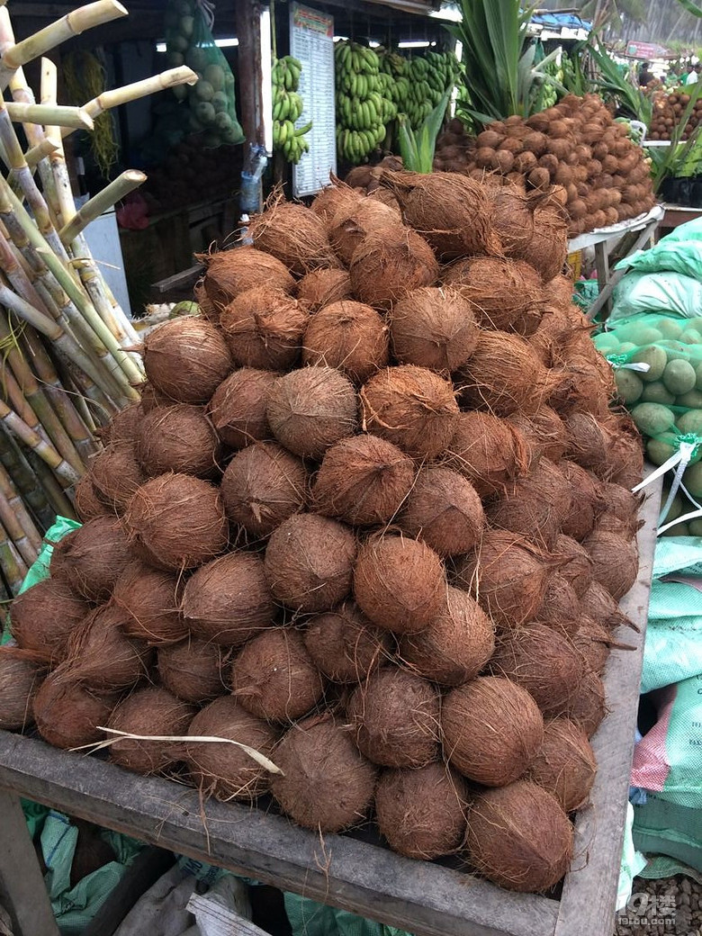 阿曼自由行