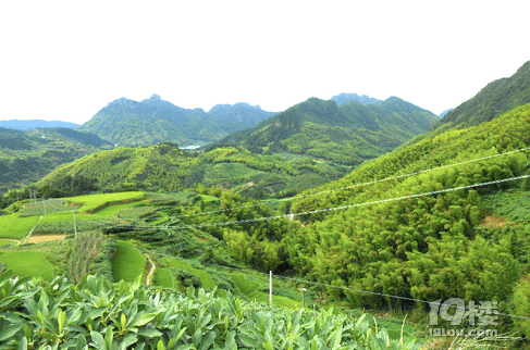 遂昌高坪露营之旅，天上的星星和地上的人