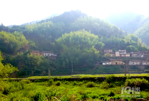 遂昌高坪露营之旅，天上的星星和地上的人