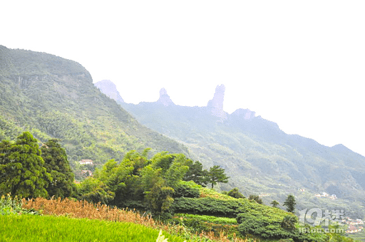 遂昌高坪露营之旅，天上的星星和地上的人