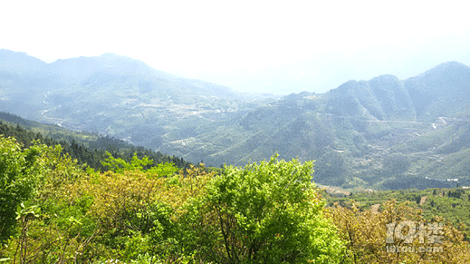 遂昌高坪露营之旅，天上的星星和地上的人