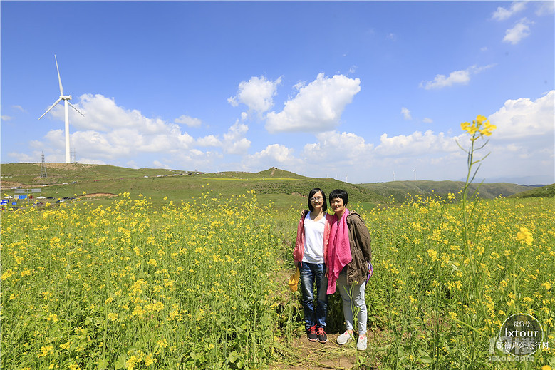 【07.24-08.06壩上全景之旅】北京之北,以夢為馬,馳騁壩上草原