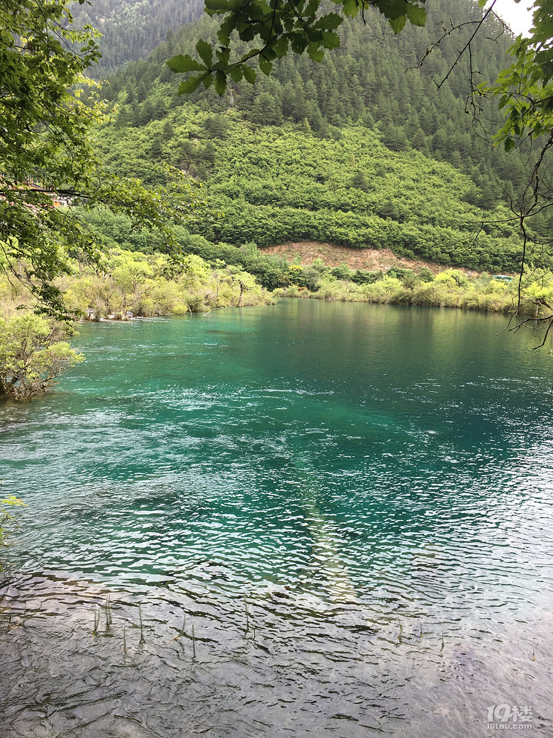 黄龙-九寨沟-成都7日游（22楼有最新行程）