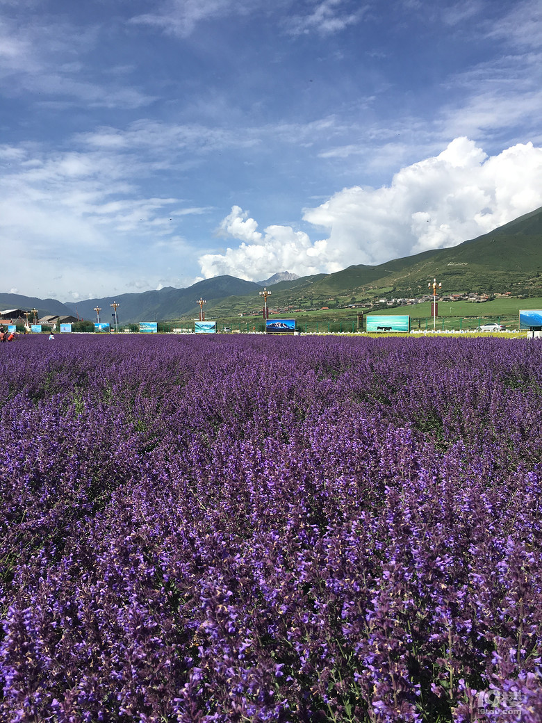 黄龙-九寨沟-成都7日游（22楼有最新行程）