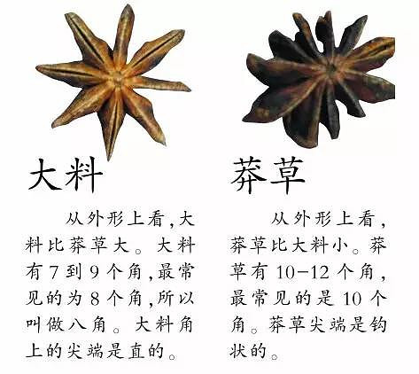 下面这些都是有毒的莽草↓↓↓一定告诉家人,在市面上遇到这样的"大料