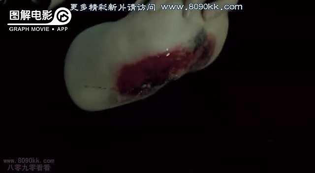 图解电影《女子高中生水泥埋尸案》 别以未成