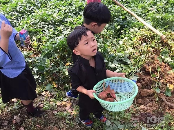 莫干山蚕乐谷快乐小农夫，疯狂秋收户外记