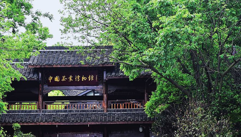 中国茶叶博物馆是中国唯一以茶和茶文化为主题的国家级专题博物馆.