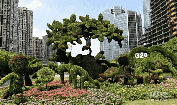 杭州路口的花草组合不仅仅是景点,更是艺术品.