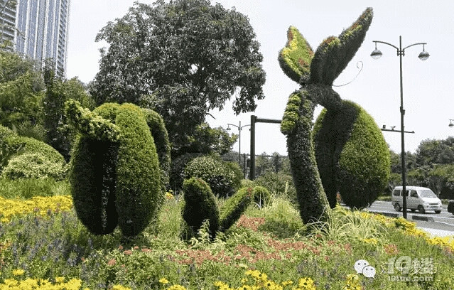 杭州路口的花草组合不仅仅是景点,更是艺术品.