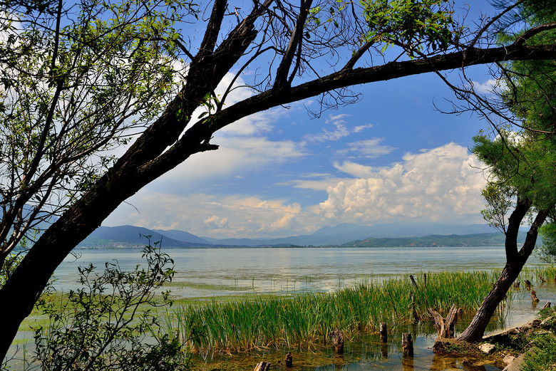云南:大理活舌公园(30)-风景照-19摄区-杭州19楼