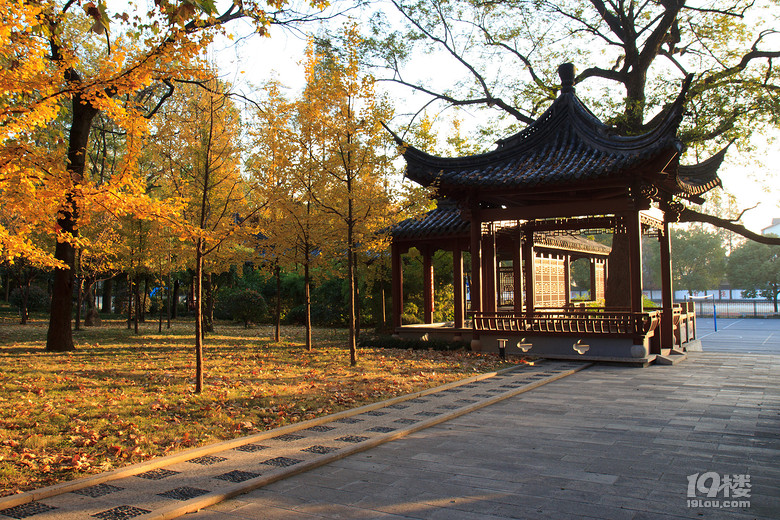 【点赞美丽校园】74. 绍兴市稽山中学-小学教育-小学教育-杭州19楼