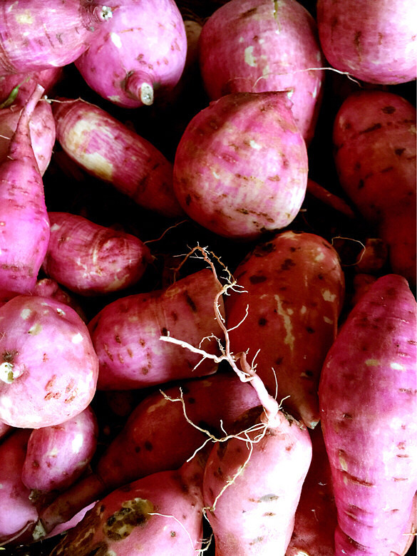 秋雨潇潇,金风细细,叶叶梧桐坠。好一个缠-婆媳