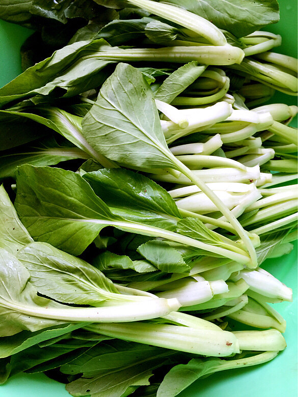 秋雨潇潇,金风细细,叶叶梧桐坠。好一个缠-婆媳