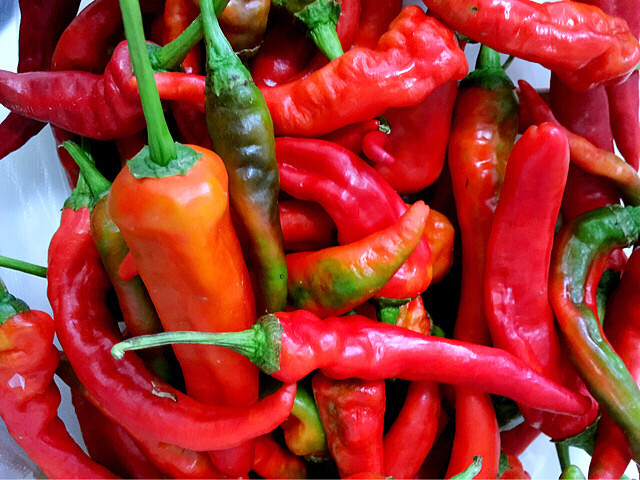 秋雨潇潇,金风细细,叶叶梧桐坠。好一个缠-婆媳