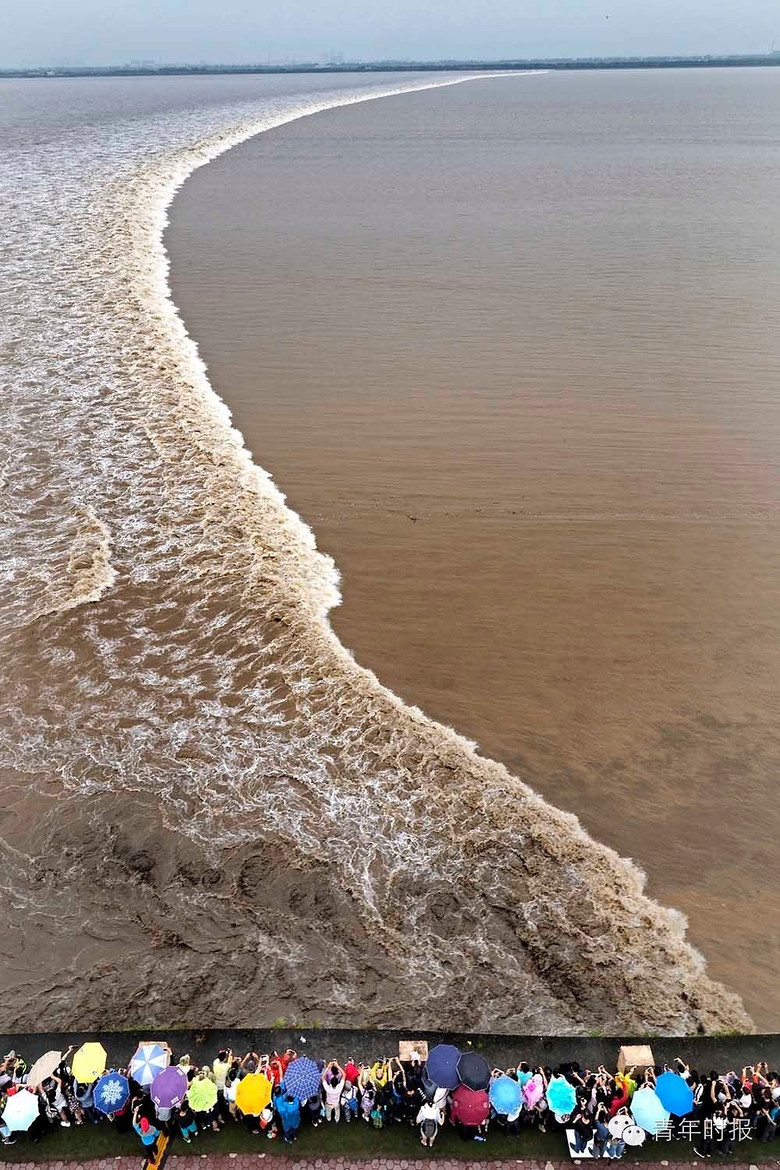 钱塘江最大的潮水来了!杭州一男子凌晨赶着看半夜潮,结果被潮水