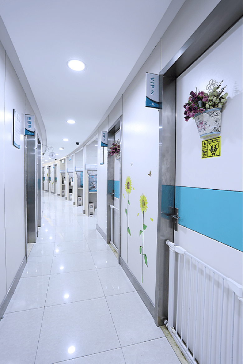 杭州宠物医院,首选虹泰宠物医院,宠物医护专家