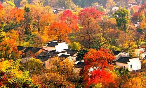 【全城夺宝】十九楼十周年活动之超越战队福利