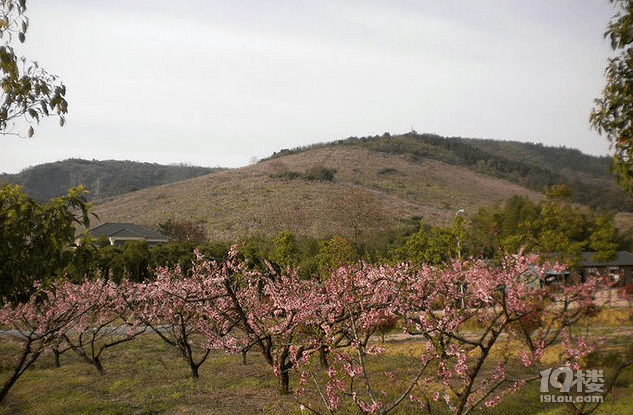 花源山庄旅游攻略 让人乐不思蜀的天然氧吧