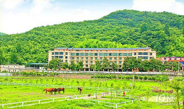 黎鹰乡村牧场旅游攻略 骑马品茶让你卸掉所有烦恼