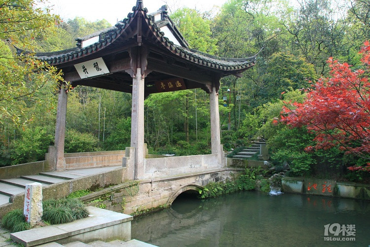 龙泓涧景区旅游攻略——湿地,茶园,堤岛相结合的风光