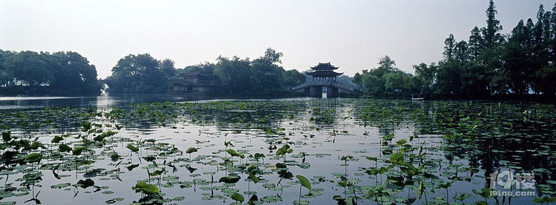 青帘坊旅游攻略 幽幽荷花自怜处