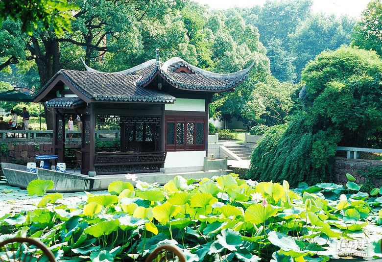 青帘坊旅游攻略 幽幽荷花自怜处