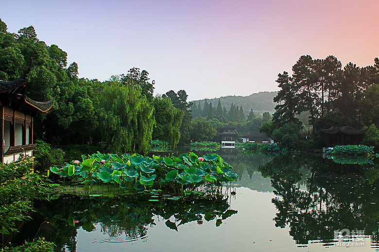 青帘坊旅游攻略 幽幽荷花自怜处