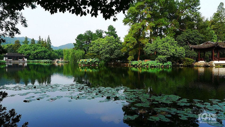 青帘坊旅游攻略 幽幽荷花自怜处