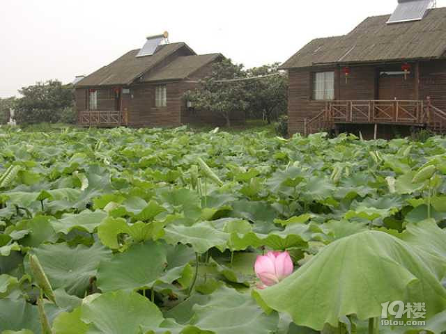 左邻右舍休闲农庄旅游攻略 休闲度假的天堂