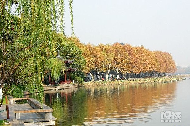 镜湖厅公园旅游攻略 西湖和北山路之间的静美之地