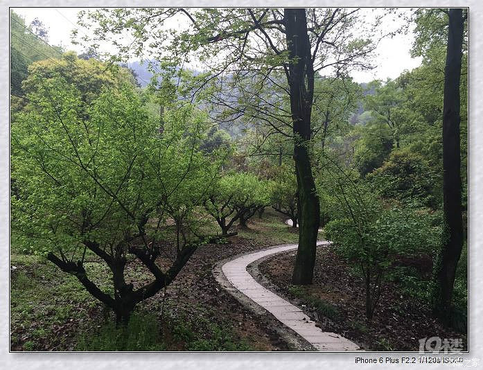法华山公园旅游攻略  法华寺旁的宗教圣地如今的文娱地