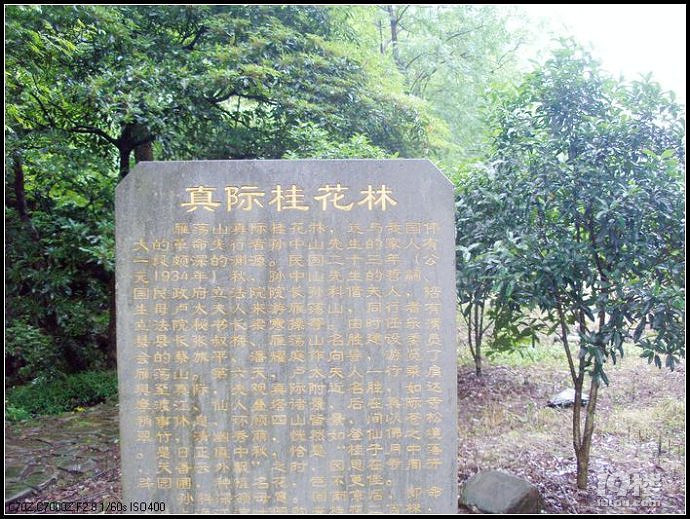 真际寺旅游攻略——五云山上真际寺