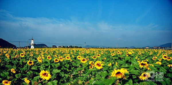 欢乐佳田农场旅游攻略 让您回归山林田野