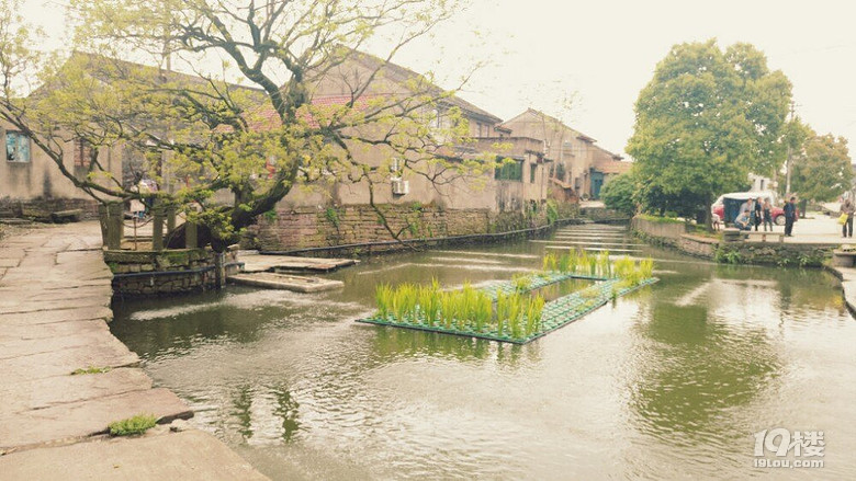 走马塘古村落旅游攻略——日出而作日落而息般的朴素古村落