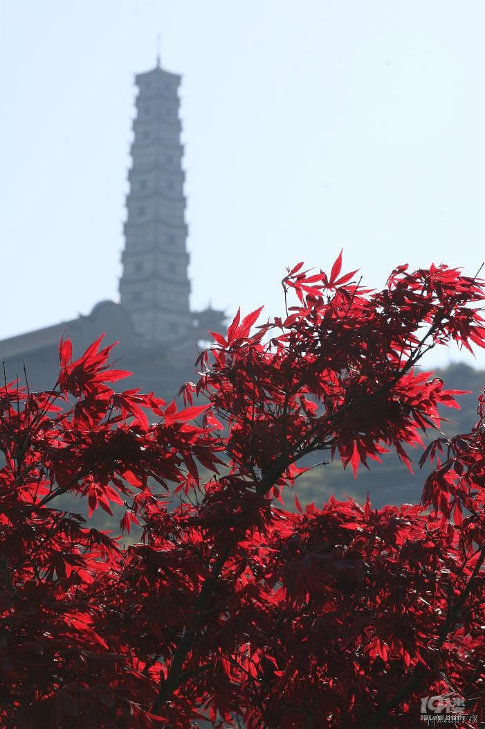 普庆寺石塔旅游攻略 江南佛塔的转折点