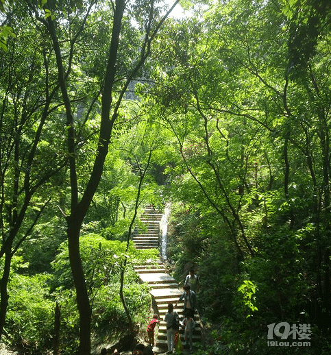 北仑森林植物园攻略 带你认识世界植物