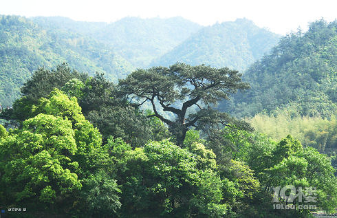阆苑石海旅游攻略——桐庐天然石海