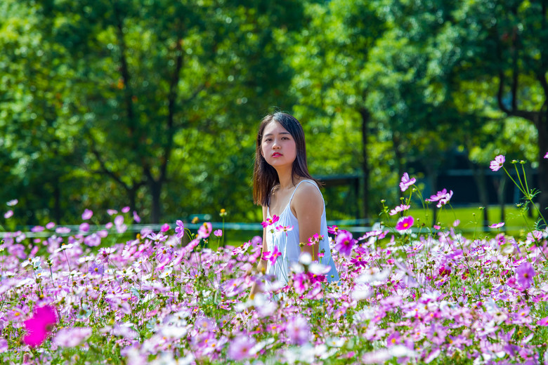 鮮花,蝴蝶和美女