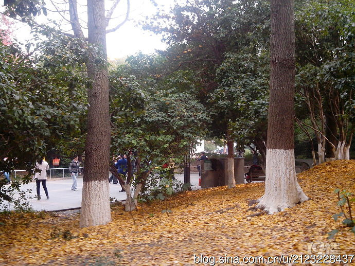 丹城公園攻略 這個(gè)公園有點(diǎn)美