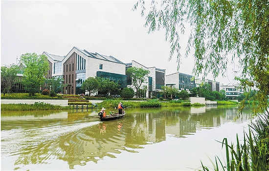 一条普通河道,整治提升后不仅水清景美,更引来梦想小镇落地