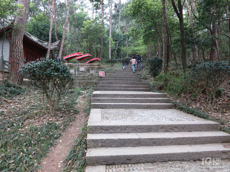 蒋母墓道攻略 蒋氏家族的墓道园林