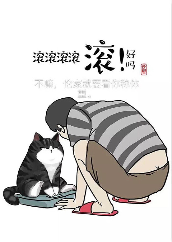 滚滚,病了,好想借你肩膀靠靠.中午陪你取