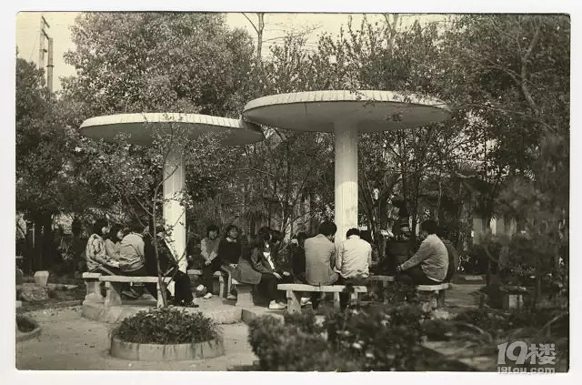 流金岁月 | 星光如梦,且歌且行--繁星文学社三十