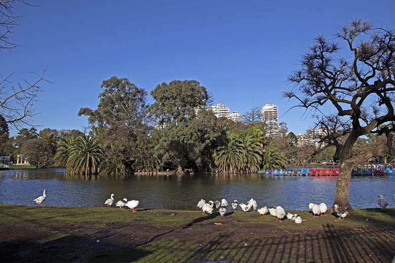 阿根廷布宜诺斯艾利斯世界上最宽最美的七九大